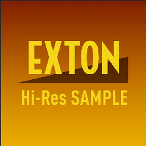 VA – Exton Hi-Res Sample 2020